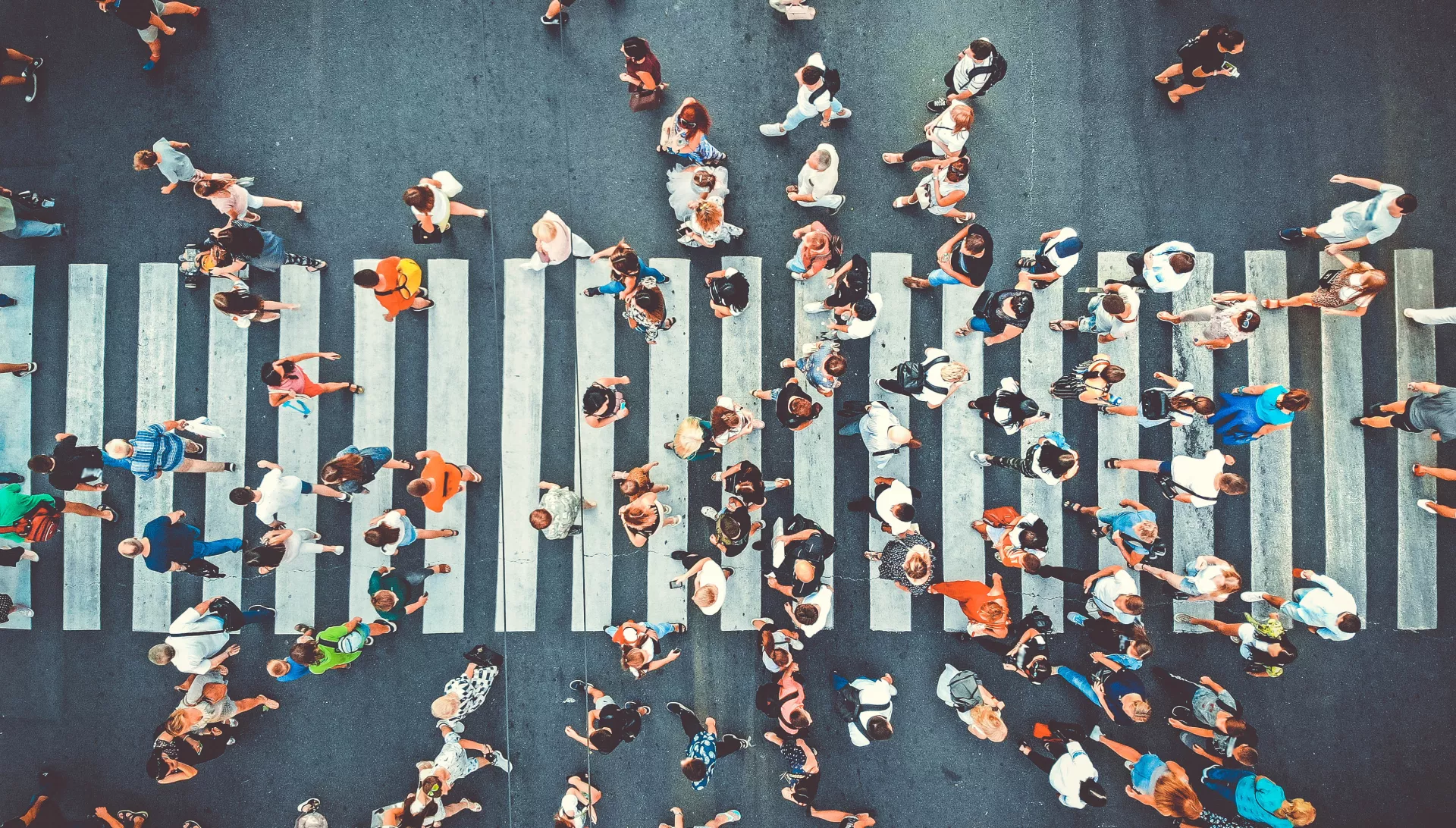 Adobe Stock 295160073