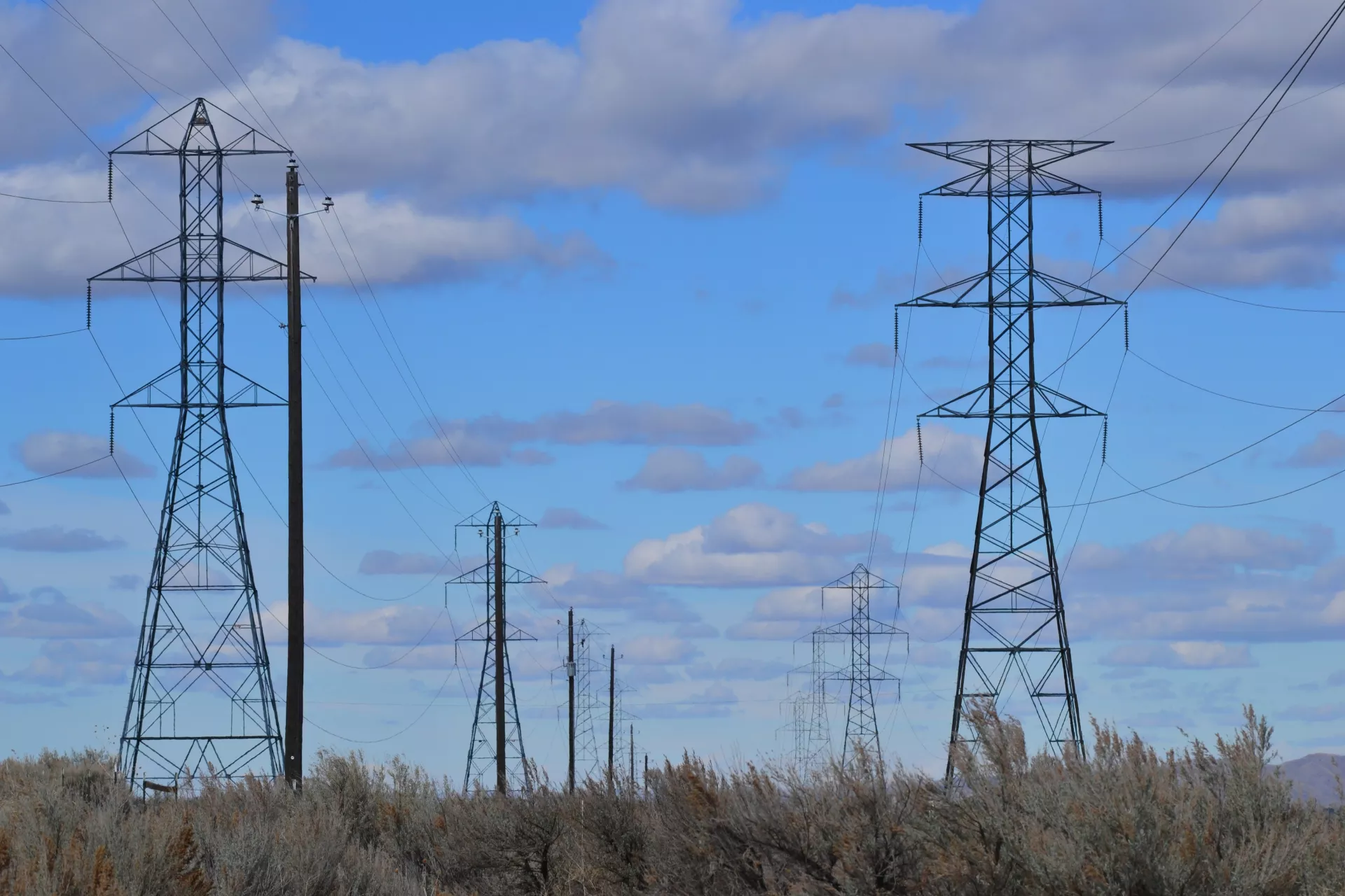 Electric cables