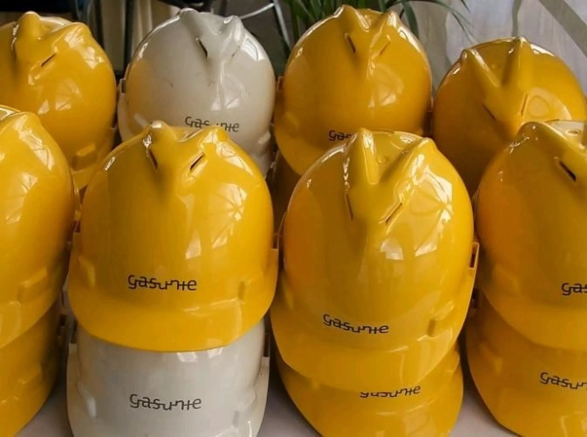 ENV - Case study emission measurements Gasunie