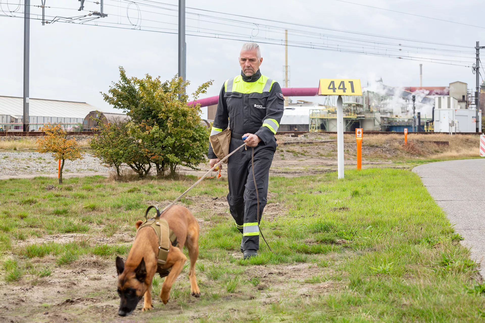 PM - Pipeline leak detection with dogs 5